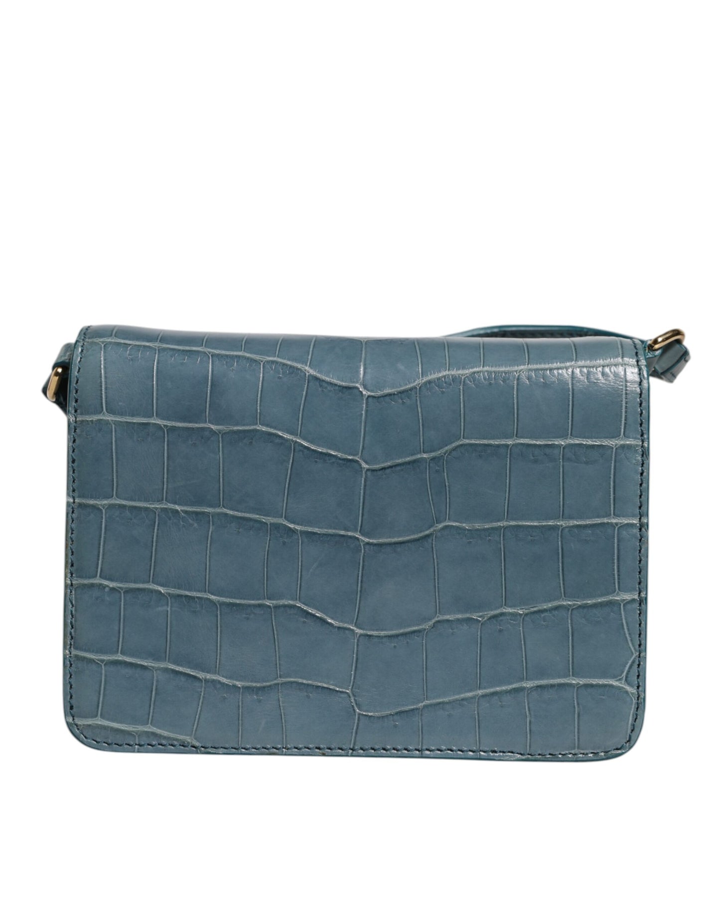 Dolce & Gabbana laukku Green Exotic Leather DG Plaque Crossbody Mini Bag